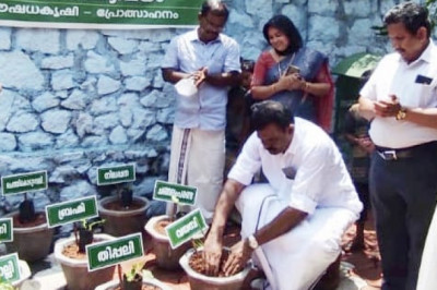 തൃക്കളത്തൂർ ഗവ.എൽ പി ബി സ്കൂളിൽ ഔഷധ ഉദ്യാനത്തിന് തുടക്കമായി