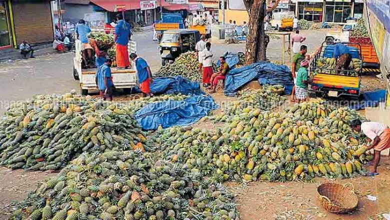 30 ന് വാഴക്കുളം സഹകരണ ബാങ്ക് ഓഡിറ്റോറിയത്തിൽ പൈനാപ്പിൾ ഫെസ്റ്റ്