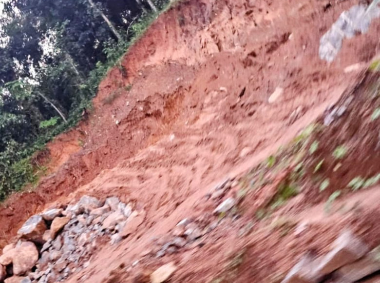 പായിപ്രയിലെ അനധികൃത മണ്ണെടുപ്പ്. ഗ്രീൻ പീപ്പിൾ പ്രതിഷേധവുമായി രംഗത്ത്.