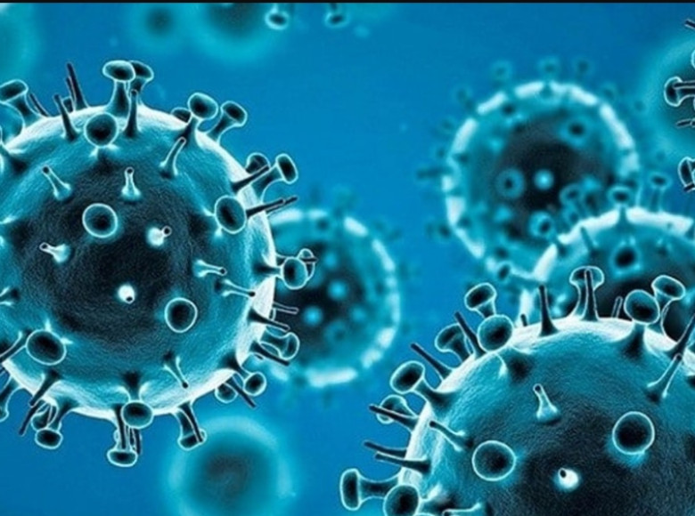 കോവിഡ് അവസാനിച്ചിട്ടില്ല : ആഴ്ചയിൽ ഇപ്പോഴും 1700 പേർ വീതം മരിക്കുന്നു : ലോകാരോഗ്യ സംഘടനയുടെ വെളിപെടുത്തൽ