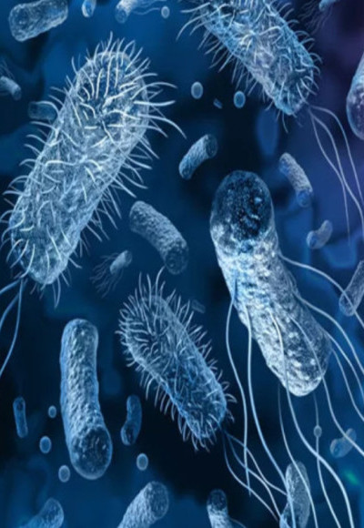 തിരുവനന്തപുരത്ത് ഒരാള്‍ക്ക് കൂടി കോളറ സ്ഥിരീകരിച്ചു