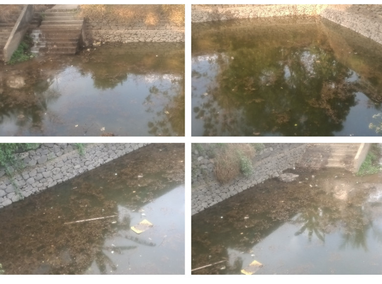 ജലസ്രോതസ്സ് മലിനമാക്കിയതായി പരാതി ; പഞ്ചായത്ത് മെമ്പർക്കെതിരെ നാട്ടുകാർ