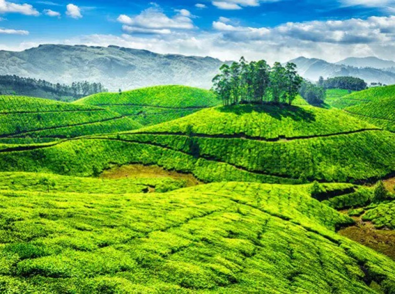 ഇടുക്കി ജില്ലയിൽ വിനോദ സഞ്ചാരം നിരോധിച്ചു