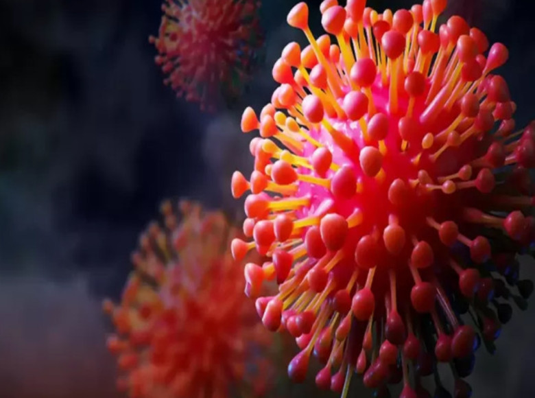 ചന്ദിപുര വൈറസ് : ഗുജറാത്തില്‍ രണ്ട് കുട്ടികള്‍ കൂടി മരിച്ചു , അകെ മരണം 8