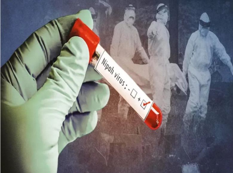 ഹൈറിസ്‌ക് വിഭാഗത്തിലുള്ള എല്ലാവരുടെയും സാമ്പിളുകള്‍ പരിശോധിക്കും ; മലപ്പുറത്തെ നിപ രോഗിയുടെ റൂട്ട് മാപ്പ് പ്രസിദ്ധീകരിച്ചു